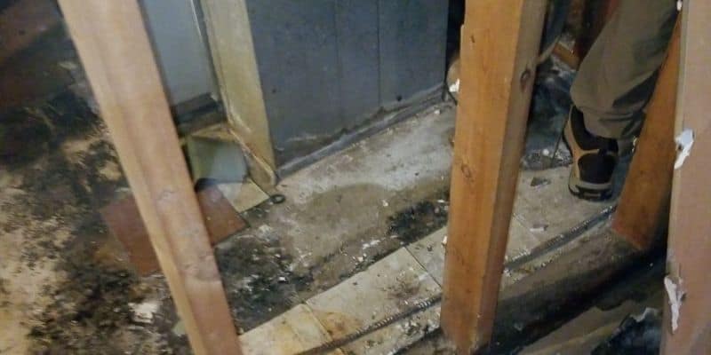 mold caused by leaking water heater in chicago