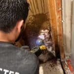 A professional is performing water damage restoration