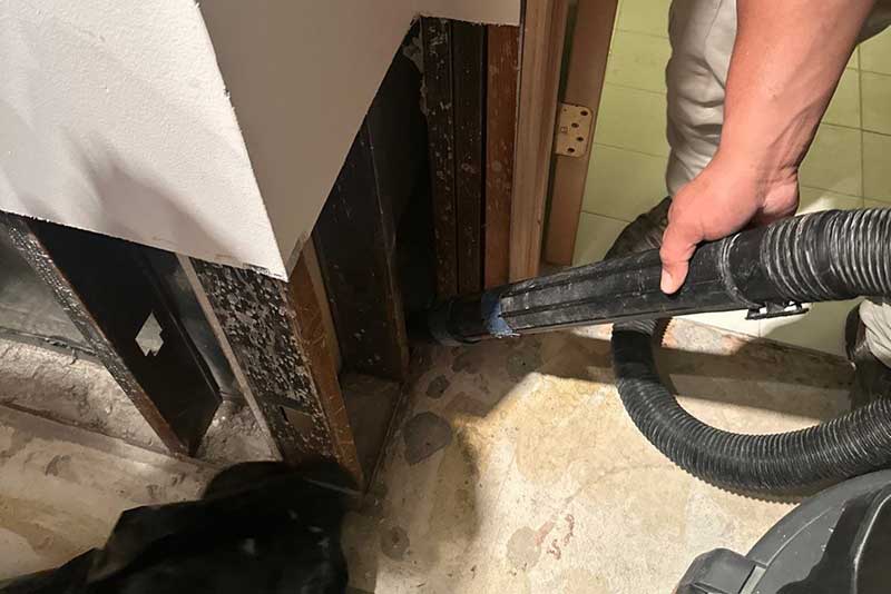A person using a wet/dry vacuum to clean up mold and debris in a dark, unfinished basement or crawl space, with exposed wooden studs and drywall.